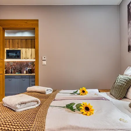 Z Basenem I Saunami Stone Hill Ii Vip Centrum By Royal Aparts Apartment *
